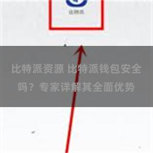 比特派资源 比特派钱包安全吗？专家详解其全面优势