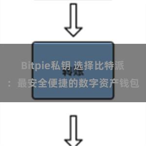 Bitpie私钥 选择比特派：最安全便捷的数字资产钱包