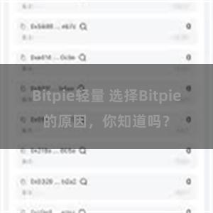 Bitpie轻量 选择Bitpie的原因，你知道吗？