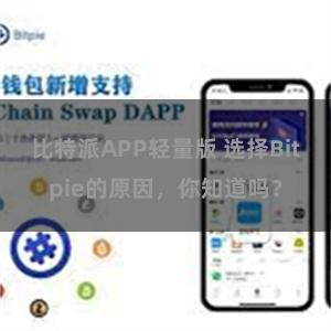 比特派APP轻量版 选择Bitpie的原因，你知道吗？