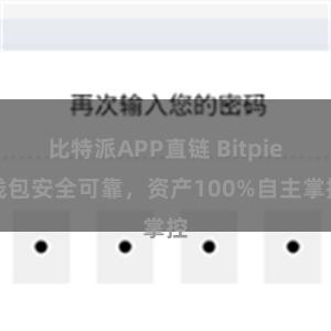 比特派APP直链 Bitpie钱包安全可靠，资产100%自主掌控