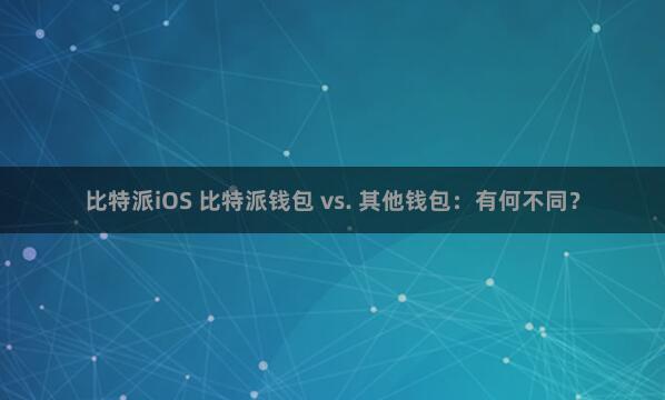 比特派iOS 比特派钱包 vs. 其他钱包：有何不同？