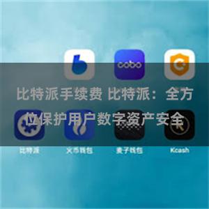 比特派手续费 比特派：全方位保护用户数字资产安全