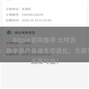 Bitpie官网推荐 比特派钱包：数字资产管理生态进化，无限可能！