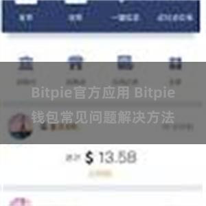 Bitpie官方应用 Bitpie钱包常见问题解决方法