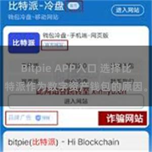 Bitpie APP入口 选择比特派作为数字资产钱包的原因。