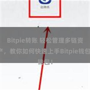 Bitpie转账 轻松管理多链资产，教你如何快速上手Bitpie钱包！