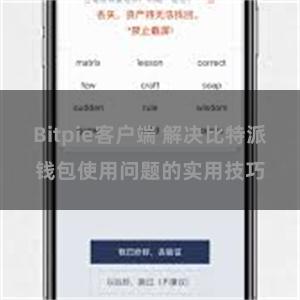 Bitpie客户端 解决比特派钱包使用问题的实用技巧