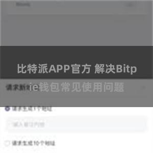 比特派APP官方 解决Bitpie钱包常见使用问题