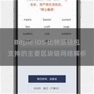 Bitpie iOS 比特派钱包支持的主要区块链网络解析