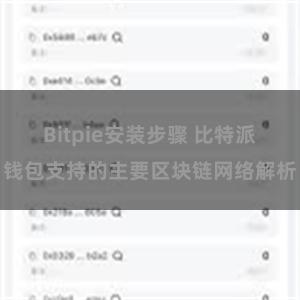 Bitpie安装步骤 比特派钱包支持的主要区块链网络解析