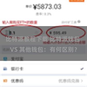 比特派教程下载 比特派钱包 VS 其他钱包：有何区别？