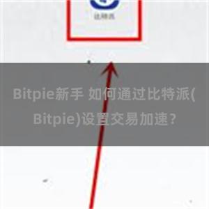 Bitpie新手 如何通过比特派(Bitpie)设置交易加速？