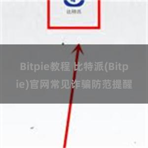 Bitpie教程 比特派(Bitpie)官网常见诈骗防范提醒