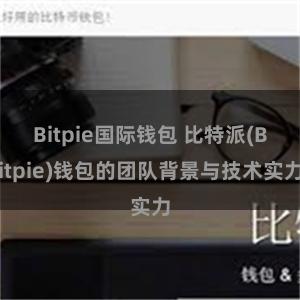 Bitpie国际钱包 比特派(Bitpie)钱包的团队背景与技术实力