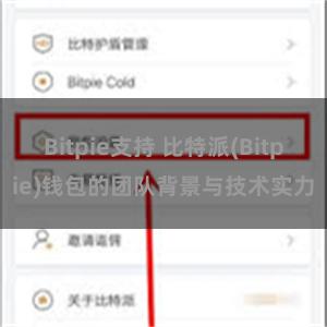 Bitpie支持 比特派(Bitpie)钱包的团队背景与技术实力