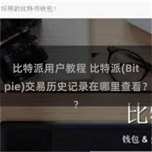 比特派用户教程 比特派(Bitpie)交易历史记录在哪里查看？