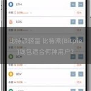 比特派轻量 比特派(Bitpie)钱包适合何种用户？