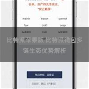 比特派苹果版 比特派钱包多链生态优势解析