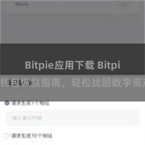 Bitpie应用下载 Bitpie钱包恢复指南，轻松找回数字资产