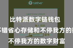 比特派数字链钱包 让用户不错省心存储和不停我方的数字财富
