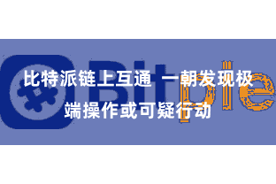 比特派链上互通  一朝发现极端操作或可疑行动