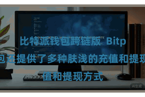比特派钱包跨链版  Bitpie钱包还提供了多种肤浅的充值和提现方式
